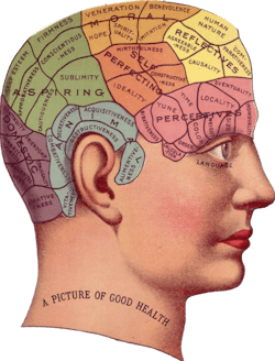 Pixabay brain 4 27 21 608801eab1d4e Pixabay brain 4 27 21 608801eab1d4e