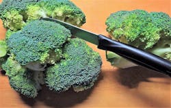 Pixabay broccoli 4 15 21