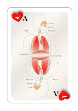 Pixabay card 4 16 21 607981cb2357e Pixabay card 4 16 21 607981cb2357e