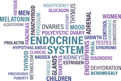 Pixabay thyroid 2019 6079ce14ea4a7 Pixabay thyroid 2019 6079ce14ea4a7