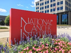 Unsplash nci 4 14 21 6076d94e97127 Unsplash nci 4 14 21 6076d94e97127