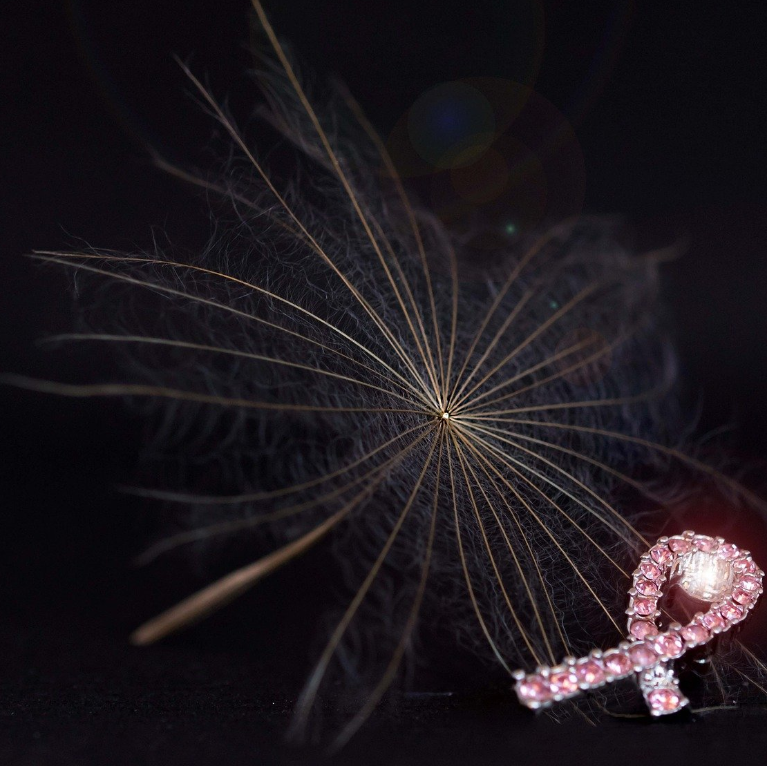 Breast Cancer 2773774 1920 60a3b7f0e461d