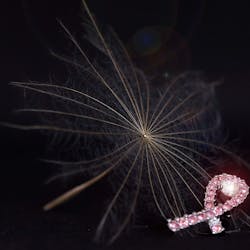 Breast Cancer 2773774 1920 60a3b7f0e461d Breast Cancer 2773774 1920 60a3b7f0e461d