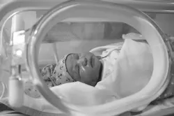 Baby 2453297 1920 60ac2ff977f8a
