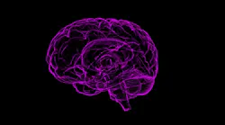 Brain Image By Raman Oza From Pixabay