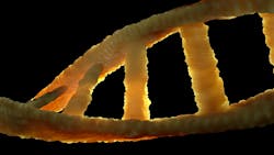 Dna Image By Colin Behrens From Pixabay 60999af17a27a Dna Image By Colin Behrens From Pixabay 60999af17a27a