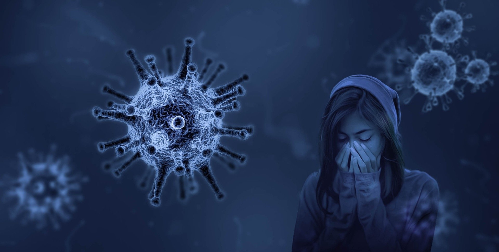 Girl Virus image By Willgard Krause From Pixabay 6092f93507973