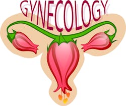 Gynecology image By From Pixabay 609297392334e Gynecology image By From Pixabay 609297392334e