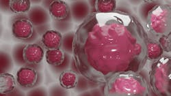 Stem 5004507 1920 6096a8e858d42 Stem 5004507 1920 6096a8e858d42