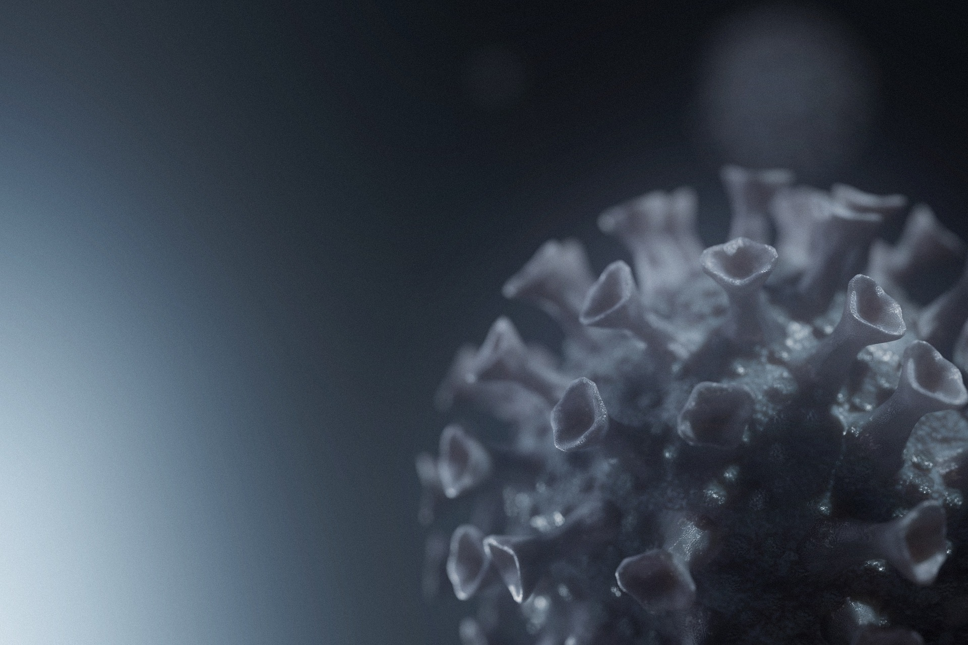 Virus 6170969 1920 60ab9c4cb140f