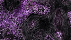 National Cancer Institute Zo Fbf T0 M Bu Unsplash 60d33203bd74c National Cancer Institute Zo Fbf T0 M Bu Unsplash 60d33203bd74c