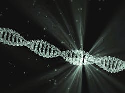 Dna 2649850 1920 60d64e98262b3 Dna 2649850 1920 60d64e98262b3