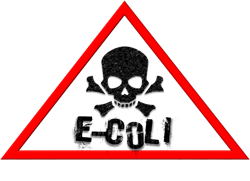 E Coli Hazard Image By Jade X From Pixabay 60bf6b9f15e55 E Coli Hazard Image By Jade X From Pixabay 60bf6b9f15e55