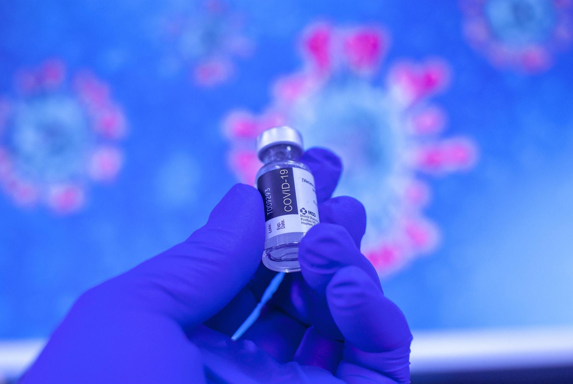 Hand 6195098 1920 60b8c913f3021