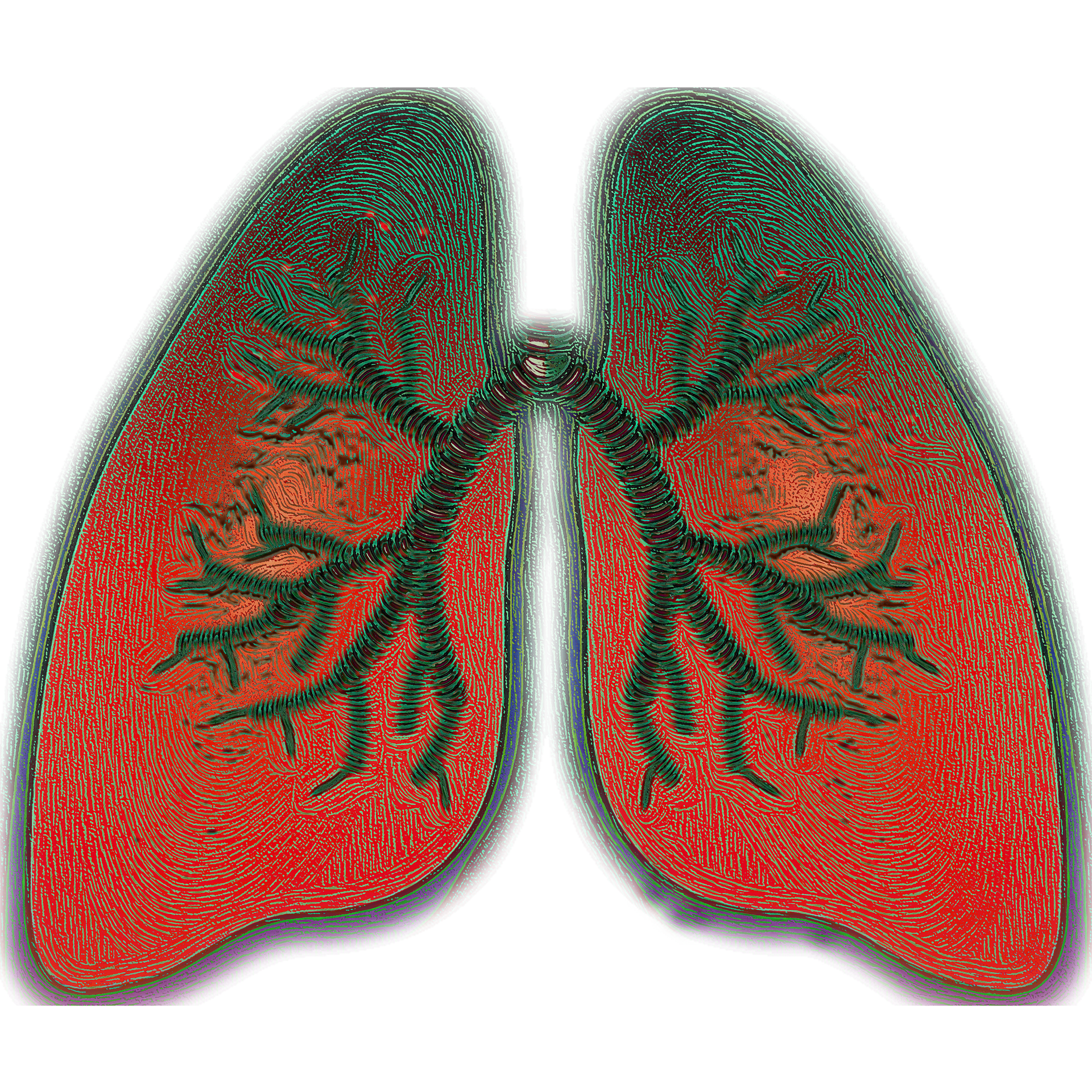 Lung Image By Vs Rao From Pixabay 60cc92551f665