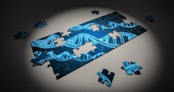 Puzzle 2500333 1920 1 60b78fa7384c0 Puzzle 2500333 1920 1 60b78fa7384c0