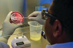 Lm P 28 Swabbing Photo By Cdc On Unsplash 60f5a6351cced Lm P 28 Swabbing Photo By Cdc On Unsplash 60f5a6351cced