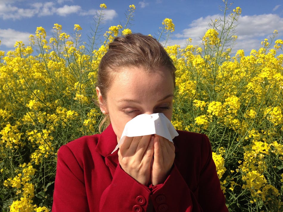 Allergy Image By Cenczi From Pixabay