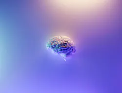Brain Purple Photo By Fakurian Design On Unsplash 60f571b33c678