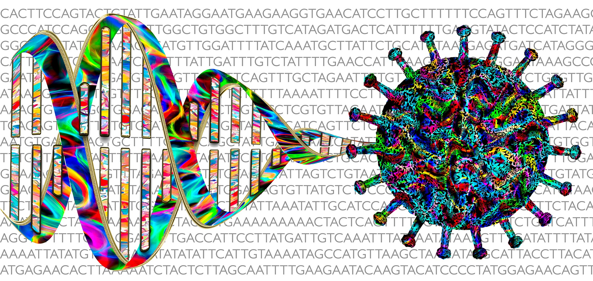 Covid Dna Image By Marek Studzinski From Pixabay 60feac29d4f42