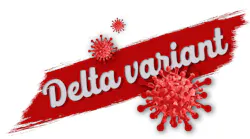 Delta Variant Image By Gerd Altmann From Pixabay