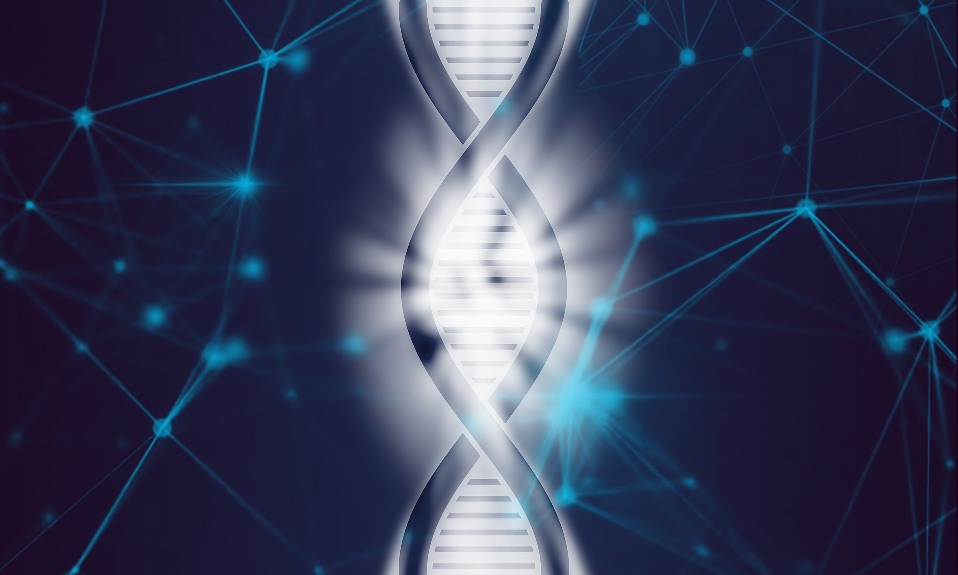 Dna Image By Pete Linforth From Pixabay 60ec3d14311fe