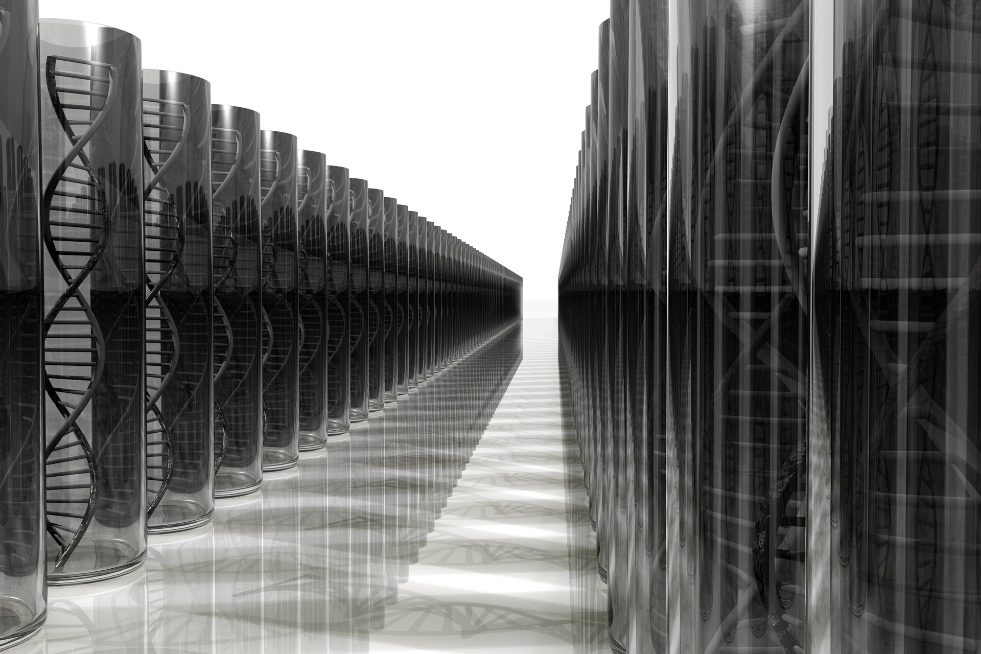 Dna Rows Image By Public Domain Pictures From Pixabay 6102a7240c4a3