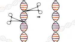 Gene Editing Image By Lj Nova Scotia From Pixabay