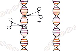 Gene Editing Image By Lj Nova Scotia From Pixabay 60ed888586b39 Gene Editing Image By Lj Nova Scotia From Pixabay 60ed888586b39