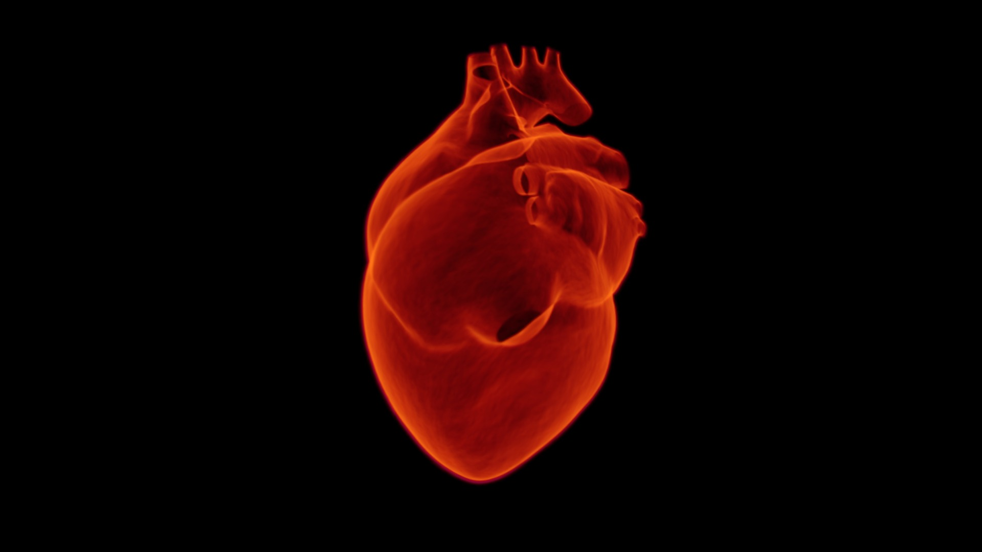 Heart Red Image By Raman Oza From Pixabay 60f56eddc3fb1