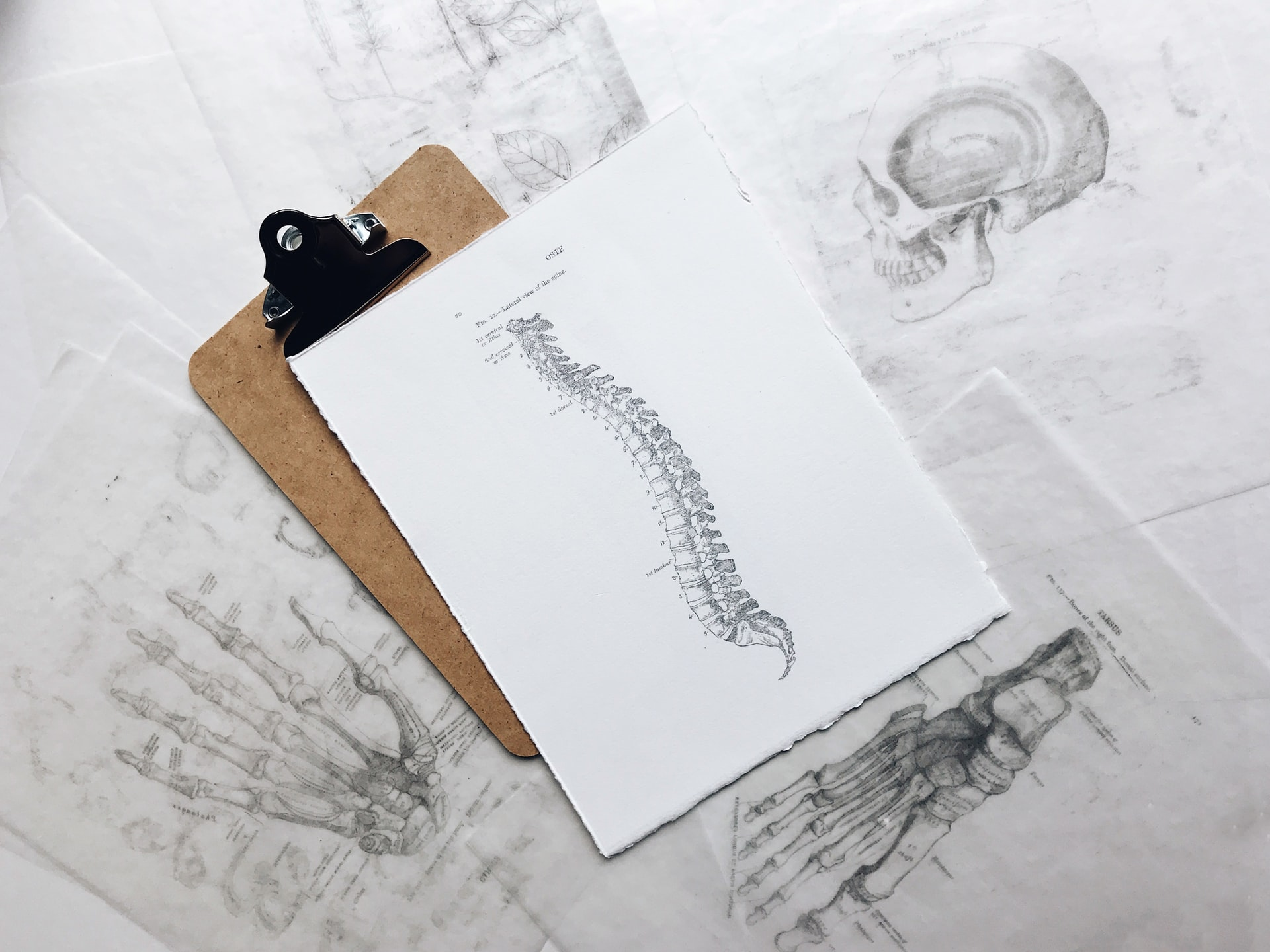 Spine Photo By Joyce Mc Cown On Unsplash 60f02ca935e80