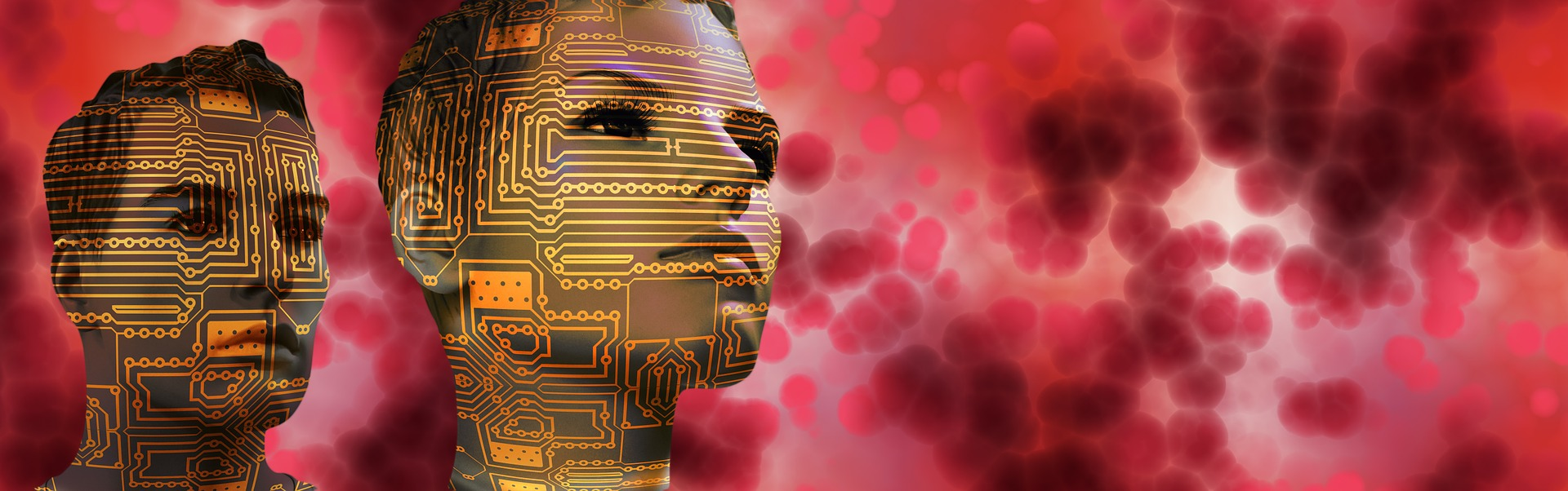 Ai Blood Image By Gerd Altmann From Pixabay 61240afd9b612