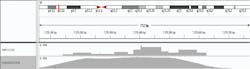 Figure 2. Comparison of coverage results produced by either amplicon or hybridization-based target enrichment of the GC-rich exons 4 and 5 of the TP53 gene. Hybridization-based enrichment produced more uniform coverage of challenging GC-rich targets. Figure 2. Comparison of coverage results produced by either amplicon or hybridization-based target enrichment of the GC-rich exons 4 and 5 of the TP53 gene. Hybridization-based enrichment produced more uniform coverage of challenging GC-rich targets.