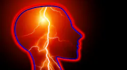 Brain