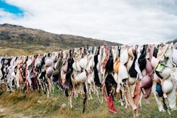 Bras Photo By Pablo Heimplatz On Unsplash 612cce249f41b Bras Photo By Pablo Heimplatz On Unsplash 612cce249f41b