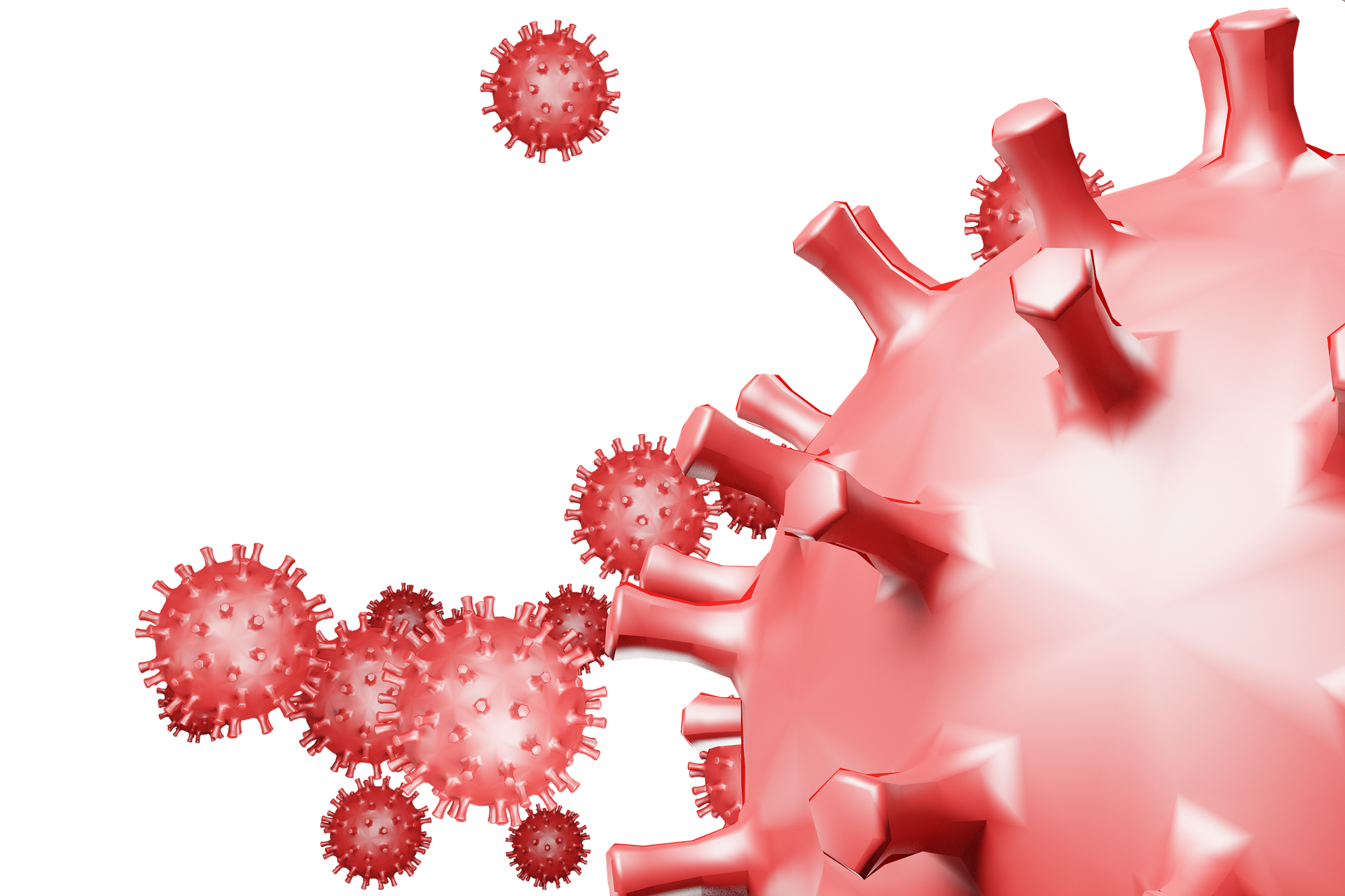 Corona Red Image By Frankund Frei From Pixabay 611bac3ea52db