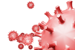 Corona Red Image By Frankund Frei From Pixabay 611bac3ea52db Corona Red Image By Frankund Frei From Pixabay 611bac3ea52db