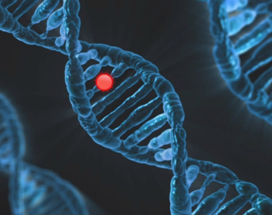 Gene Mutation Image By Swiftsciencewriting From Pixabay