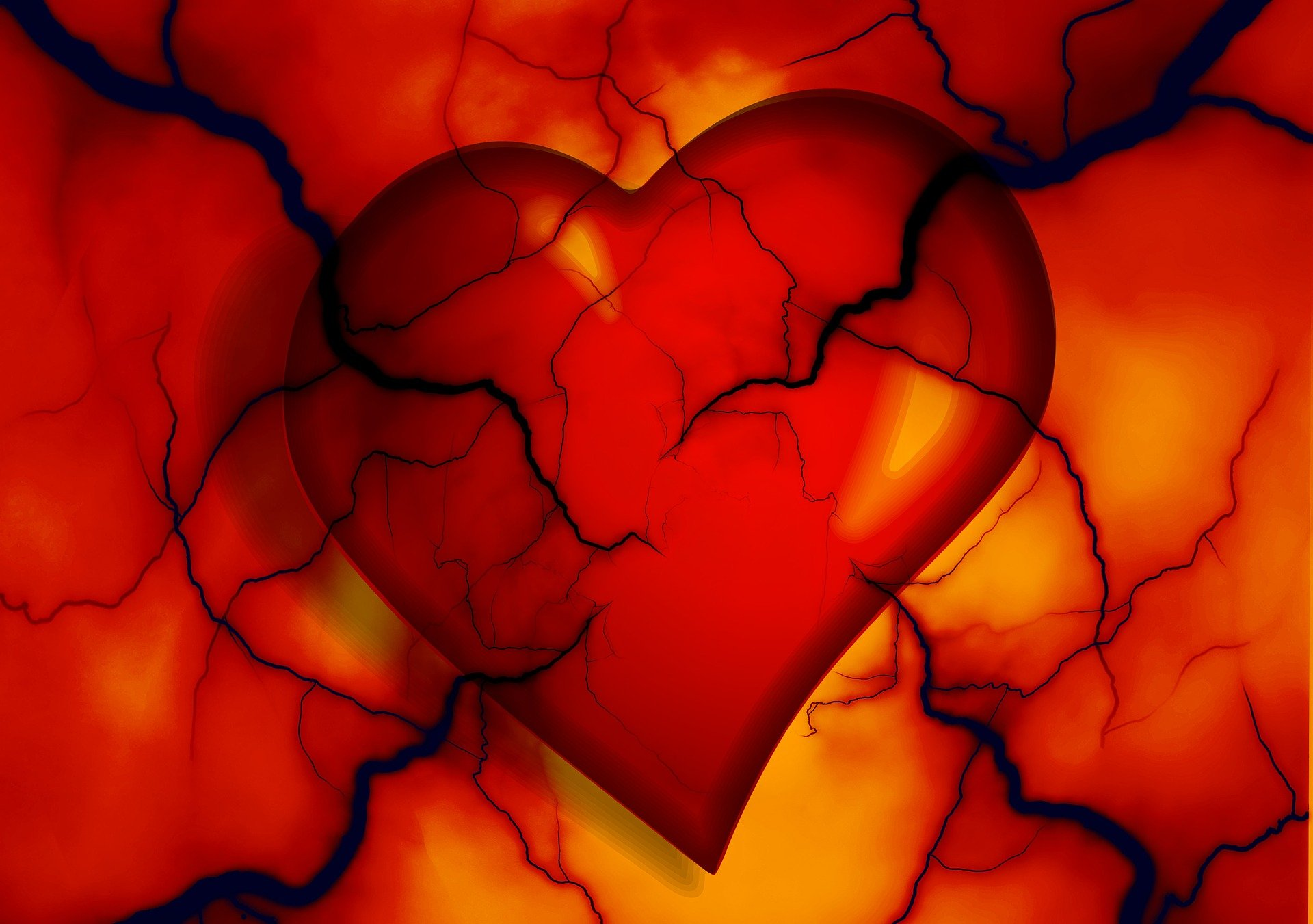 Heart Veining Image By Gerd Altmann From Pixabay 610a887a7501a