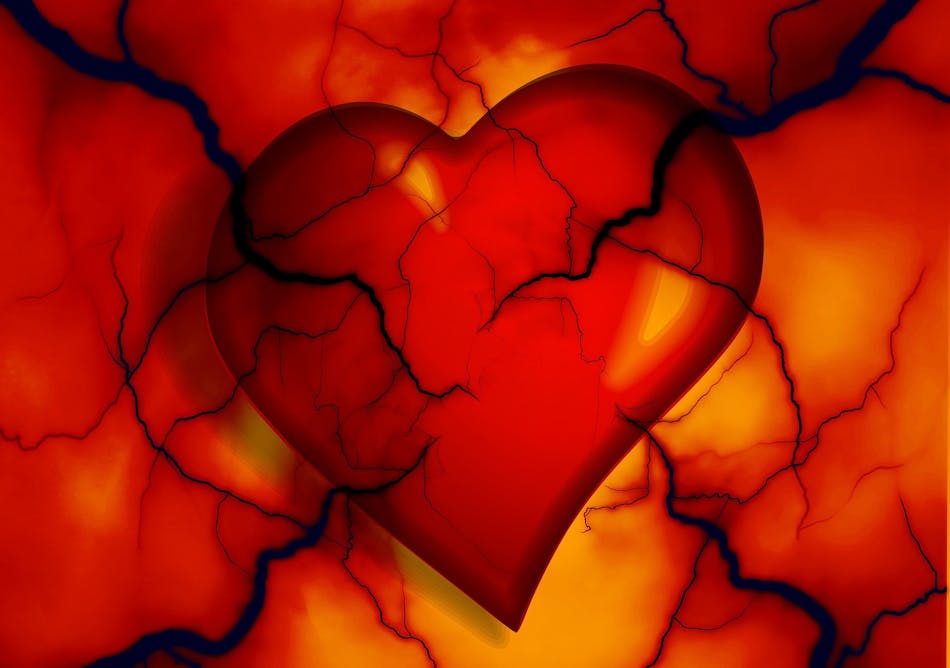 Heart Veining Image By Gerd Altmann From Pixabay