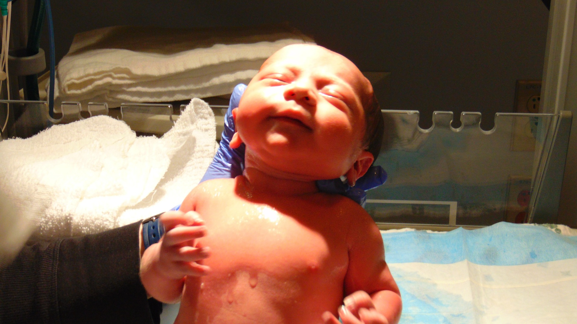 New Born Image By James Timothy Peters From Pixabay 611bb037260ba