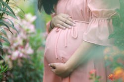 Pregnant Pink Dress Image By From Pixabay 61127ee23b435 Pregnant Pink Dress Image By From Pixabay 61127ee23b435