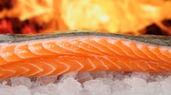 Salmon Image By Shutterbug75 From Pixabay