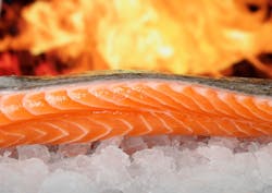 Salmon Image By Shutterbug75 From Pixabay 612ccb90ab0c5 Salmon Image By Shutterbug75 From Pixabay 612ccb90ab0c5