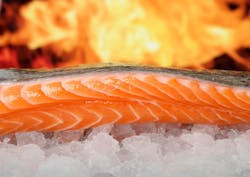 Salmon Image By Shutterbug75 From Pixabay