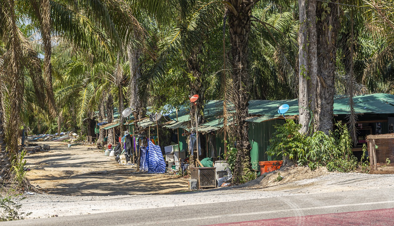 Slum 4843672 1280 61113790da9f3