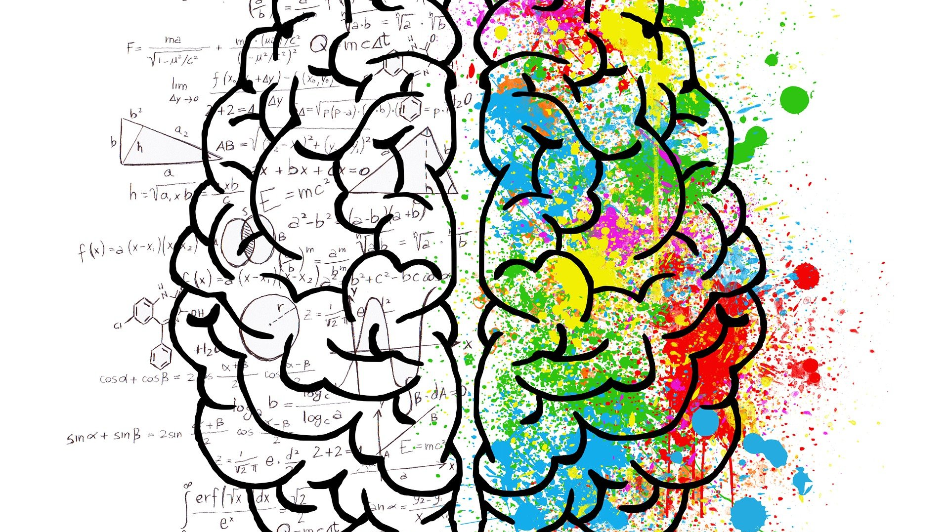 Brain 2062057 1920 61530ff32195d