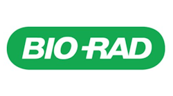 Br Logo Rgb