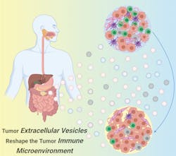 Figure 1. 3D rendering of T cells with cancer cells, courtesy of University of Minnesota. Figure 1. 3D rendering of T cells with cancer cells, courtesy of University of Minnesota.