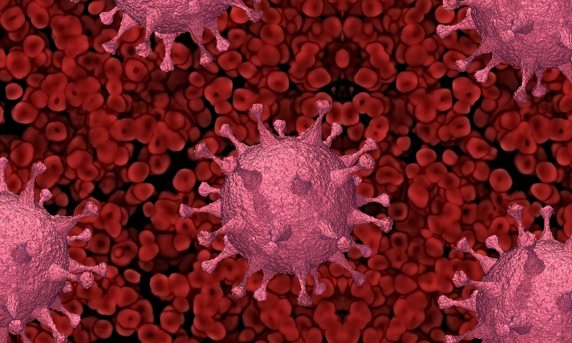 Blood Virus Image By Pete Linforth From Pixabay 6145023b77820
